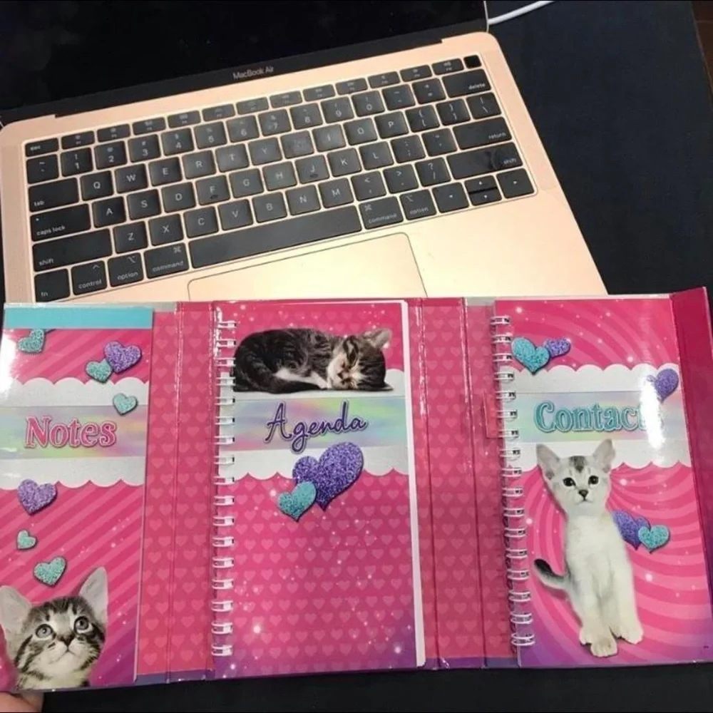 Scholastic brand new